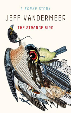 The Strange Bird