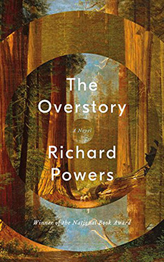 The Overstory