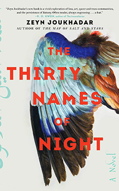 The Thirty Names of Night