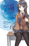 Rascal Does Not Dream of Bunny Girl Senpai