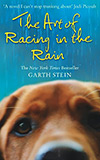 The Art of Racing in the Rain