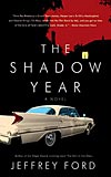 The Shadow Year