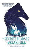 The Secret Horses of Briar Hill