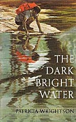 The Dark Bright Water